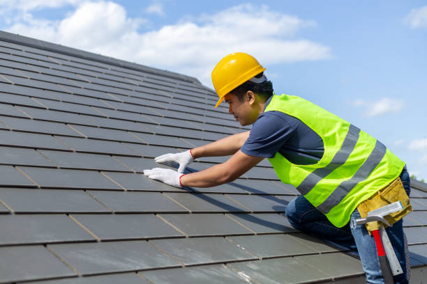 Best Roof Waterproofing Services  in South Rockwood, MI