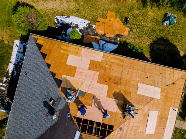 Best Roofing Contractor Near Me  in South Rockwood, MI