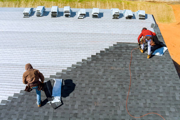 Best Roof Leak Repair  in South Rockwood, MI