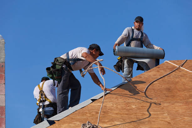Best Roof Repair Services  in South Rockwood, MI