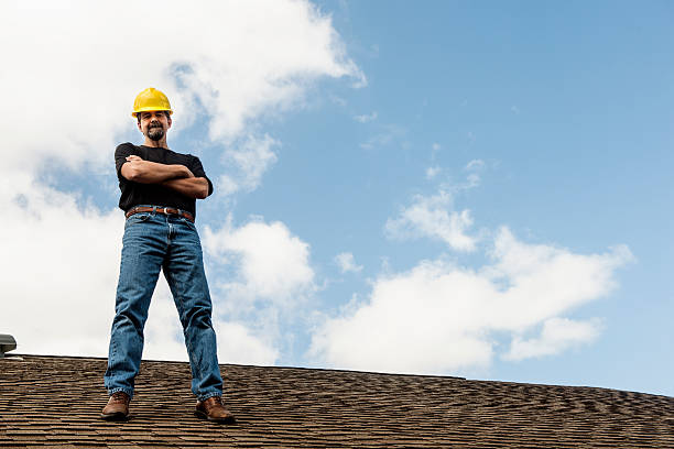 Best Roof Gutter Cleaning  in South Rockwood, MI