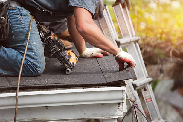 Best Commercial Roofing Services  in South Rockwood, MI