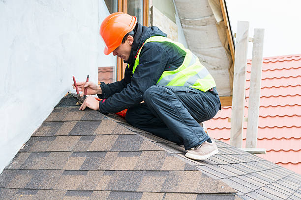Best Metal Roofing Contractor  in South Rockwood, MI