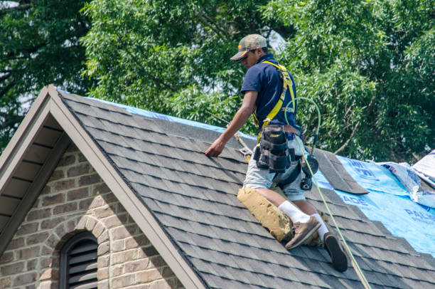 Best Storm Damage Roof Repair  in South Rockwood, MI